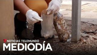 Planeta Tierra: Fabrican bloques con colillas de cigarros | Noticias Telemundo