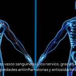captura-de-pantalla-2026-05-12-112704