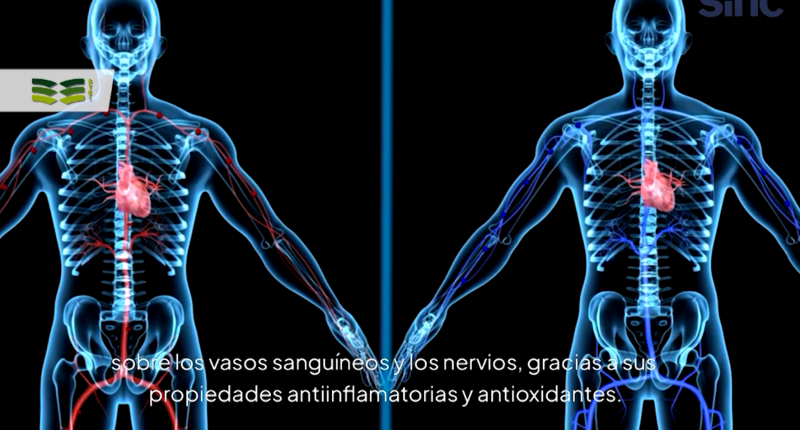 captura-de-pantalla-2026-05-12-112704